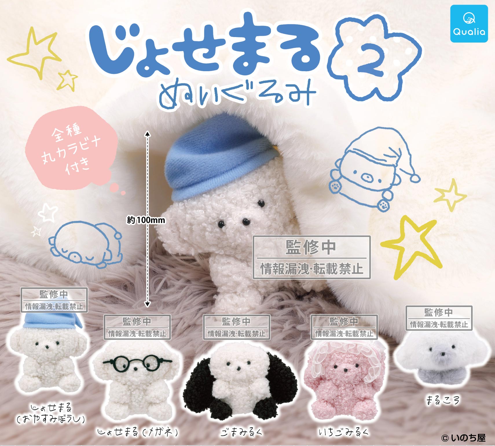 お知らせ - Qualia Online Store
